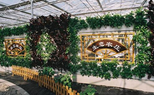 上海都市菜園拓展基地